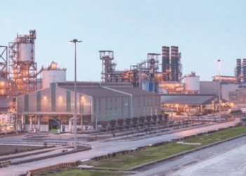 QAMCO Delivers Strong 2023 Results Despite Challenging Conditions