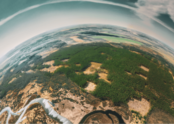 Alwaleed Philanthropies Launches Atlai, An Innovative AI Platform to Support Global Efforts to Combat Deforestation