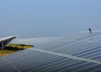 Renewable Energy Projects in Qatar